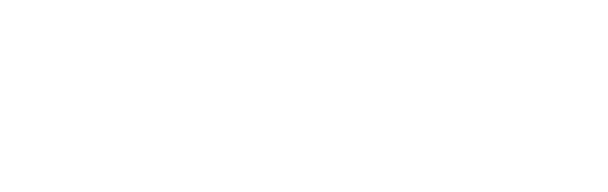 PM White logo