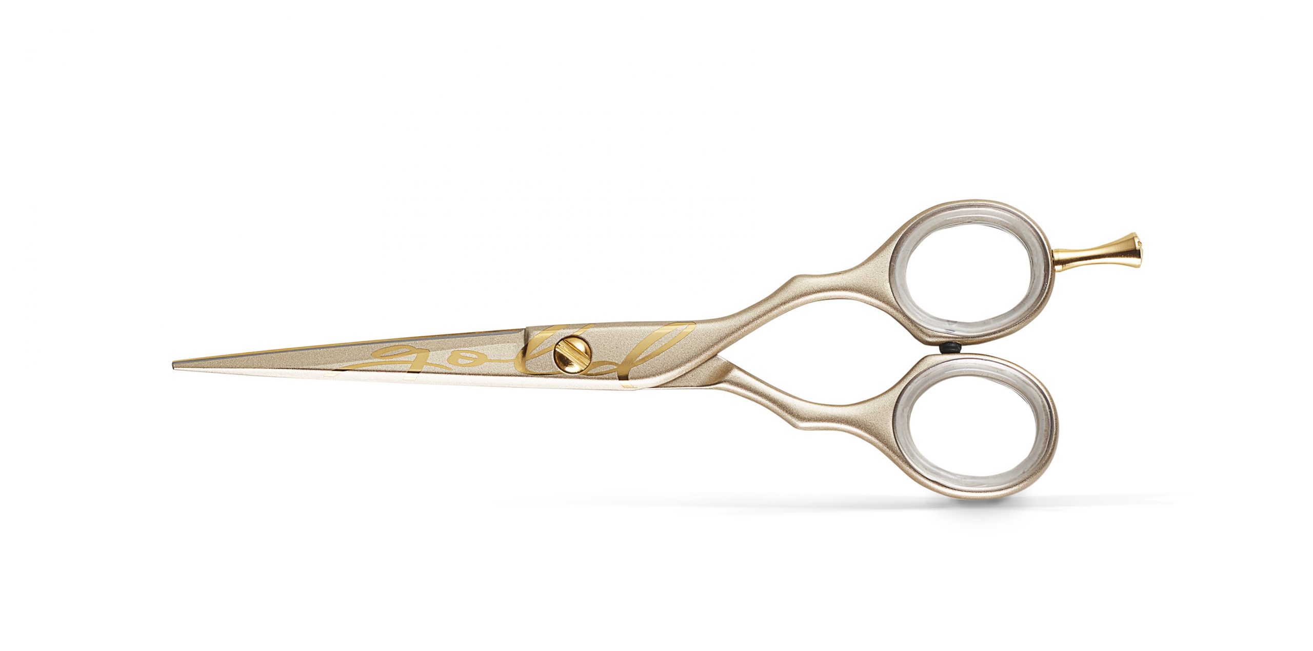 2451-scaled-2.jpg – Rapple