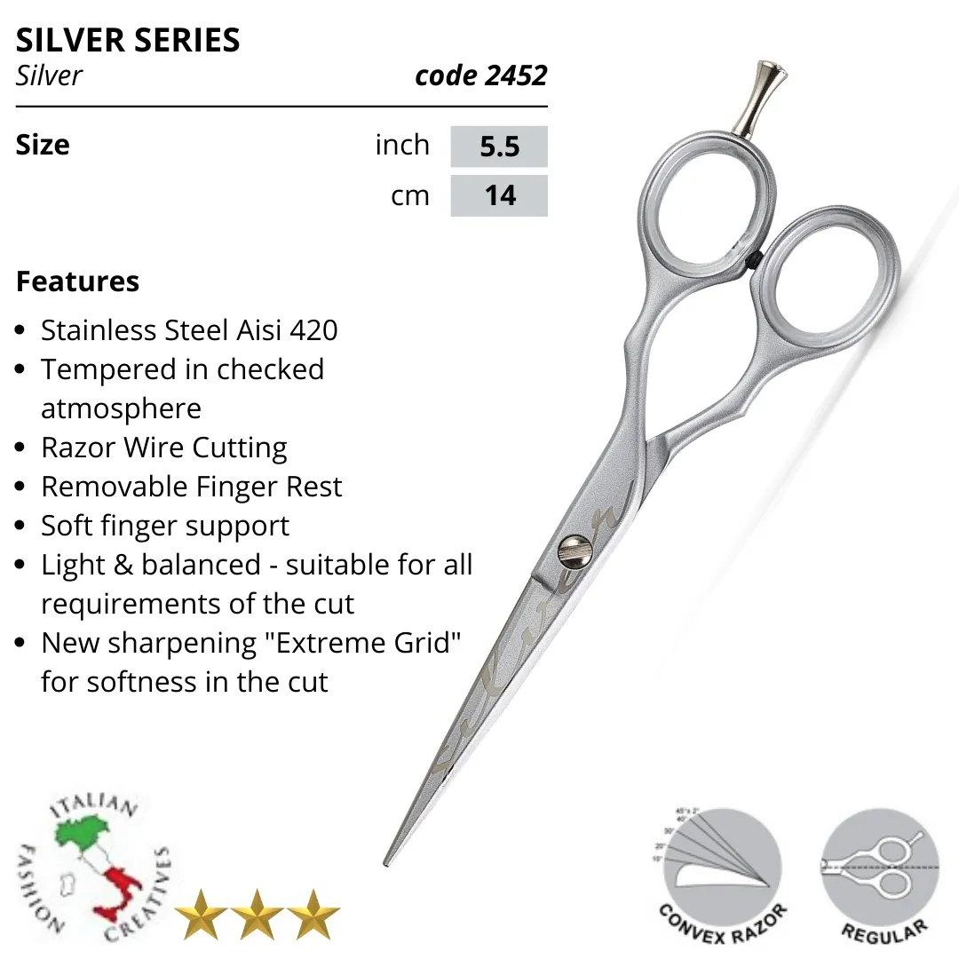 Kiepe-Scissors.jpg – Rapple Kiepe Scissor – Silver Series – Blending 5.5”