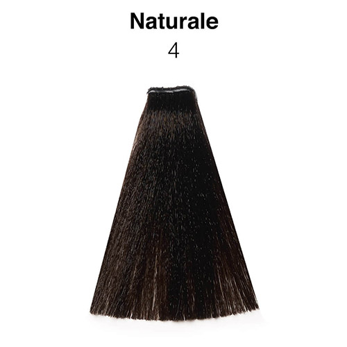 NOuvelle-N4.jpg – Rapple