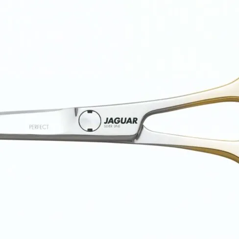 Jaguar Silver Line Perfect