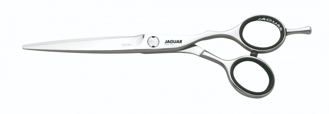 Jaguar Silver Line Ocean 575 – Rapple