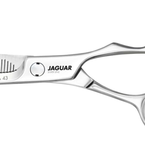 Jaguar Silver Line Xena 43 6.0