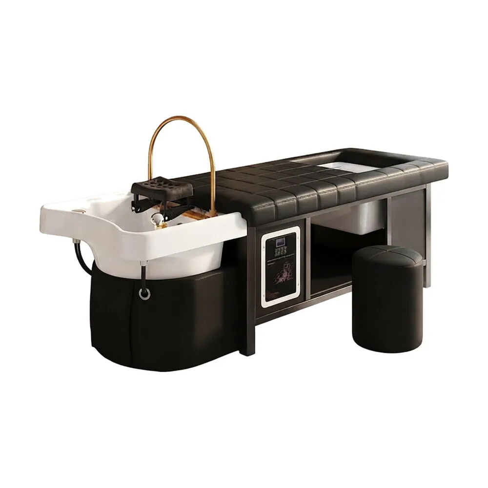 Japanese Hydro Spa Bed 4-in-1- Electronic | Black