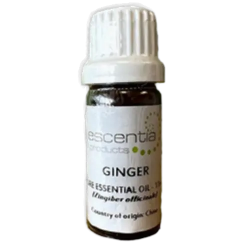 Essential Oil Ginger 11ml