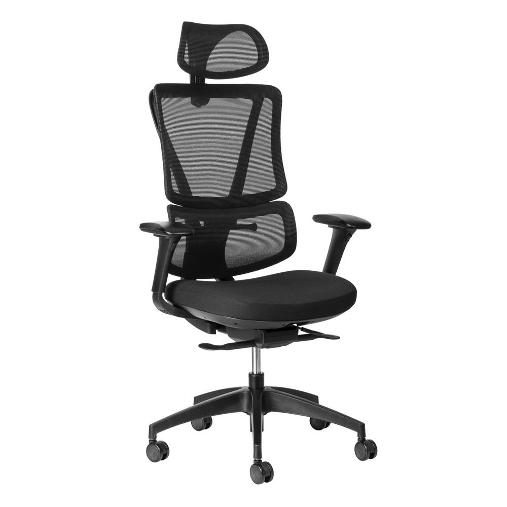 Ergo Back mesh office chair