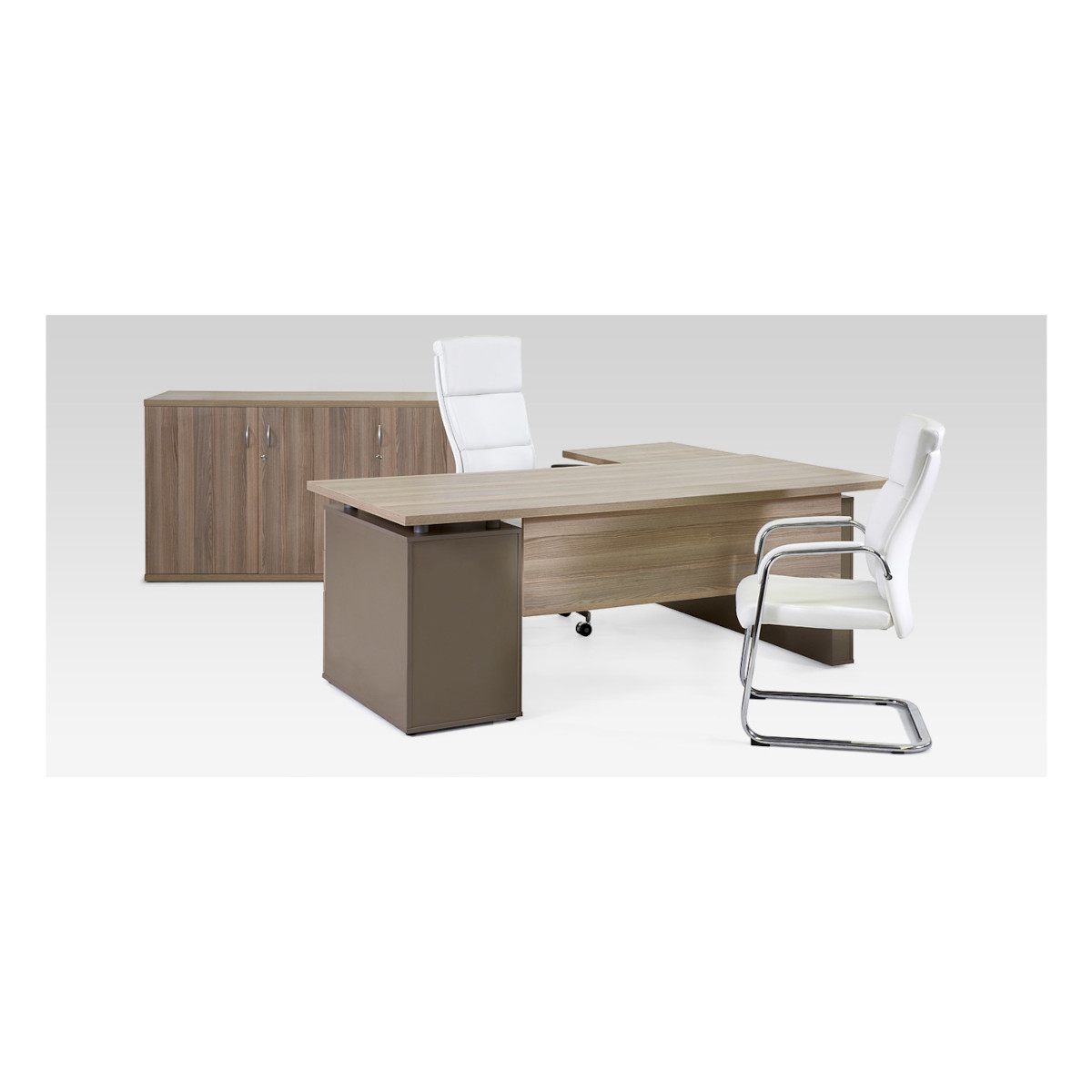 Executive FT office desk