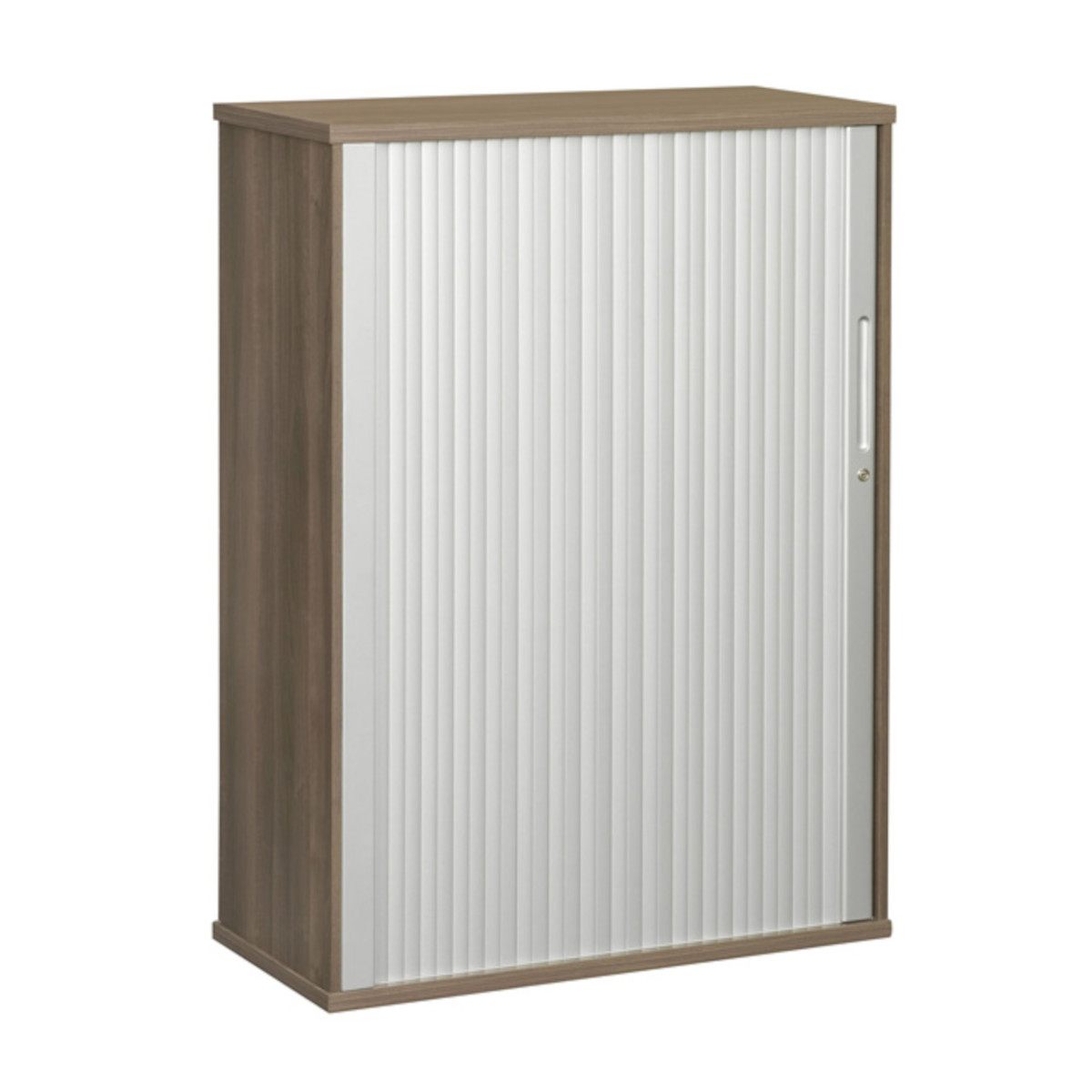 Roller Shutter Door Cabinet
